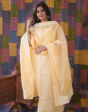 Rajasthani Unstitched Aplique Suits