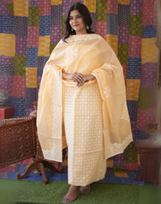 Rajasthani Unstitched Aplique Suits